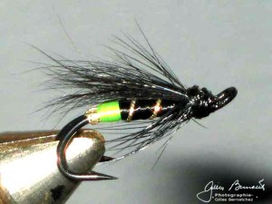 Black bear green butt